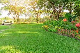 Lawn & Landscape